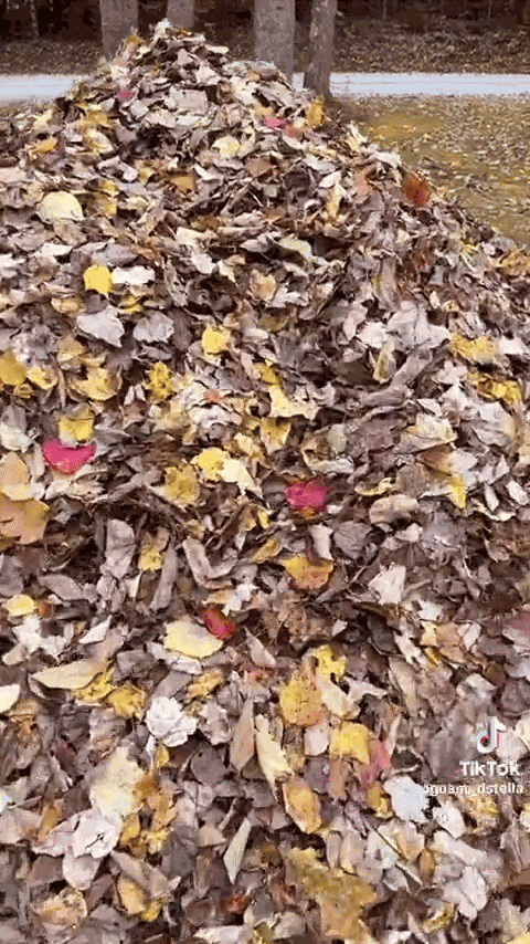 Animiertes GIF