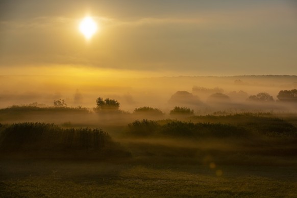 Fog covers the landscape at the Palini Lake near Nagykanizsa, Hungary, 21 July 2020. (Gyorgy Varga via MTI)