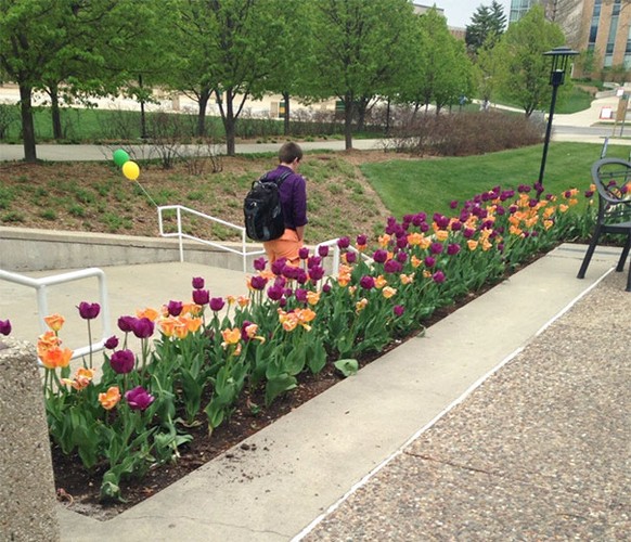 Typ hat passende Kleider zu den Blumen an.
https://www.reddit.com/r/mildlyinteresting/comments/241msm/this_guys_clothes_match_these_flowers/