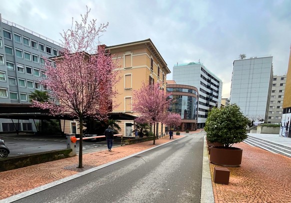 Paradiso Kirschblüten Via Franco Zorzi und Via delle Scuole