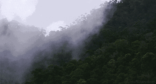 Animiertes GIF