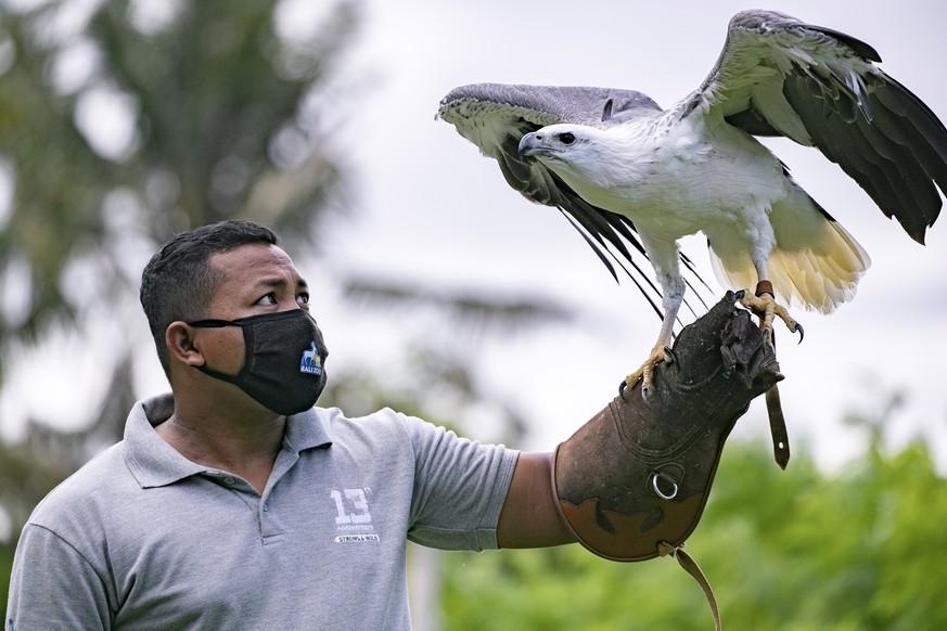 epaselect epa08539829 A zookeeper wears a protective face mask at the reopened Bali Zoo, in Bali, Indonesia, 11 July 2020. The Indonesian government has imposed a new set of regulations known as ' ...