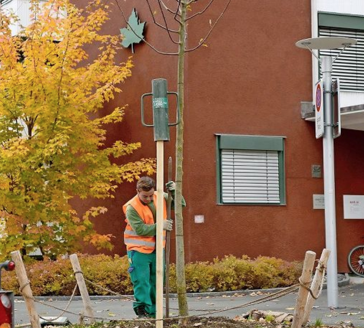 Zürich GuerillaGärtner kommt mit seiner Aktion nicht durch Stadt