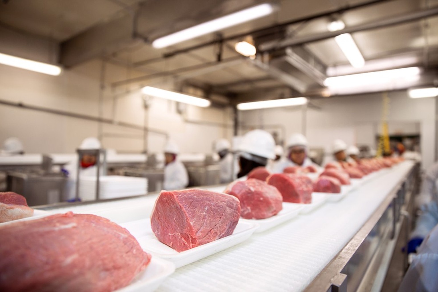 Stücke rohen Schweinefleischs in einem Fleisch verarbeitenden Betrieb.