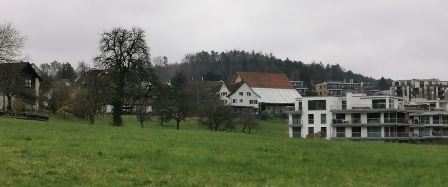 Abschnitt 2: Ob auf beiden Abschnitten eine PV-Anlage das Ortsbild nachhaltig zerstört, wird das Gericht entscheiden müssen.