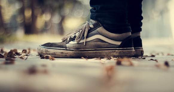 Vans shoes sneakers