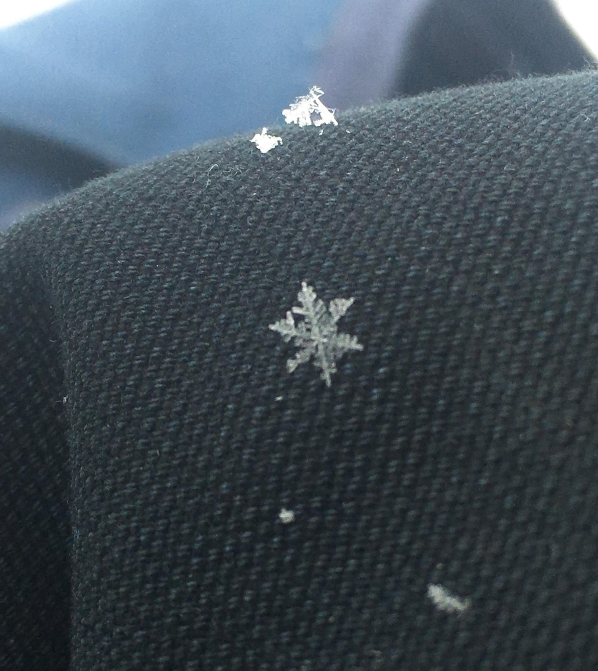 Schneeflocke