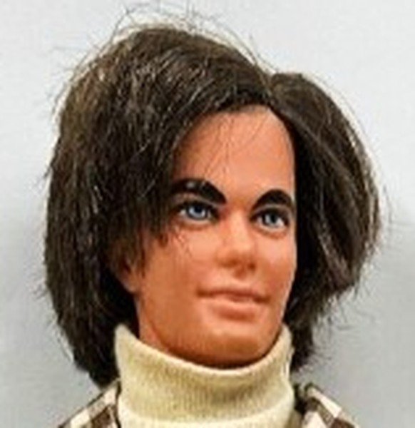 Mod Hair Ken