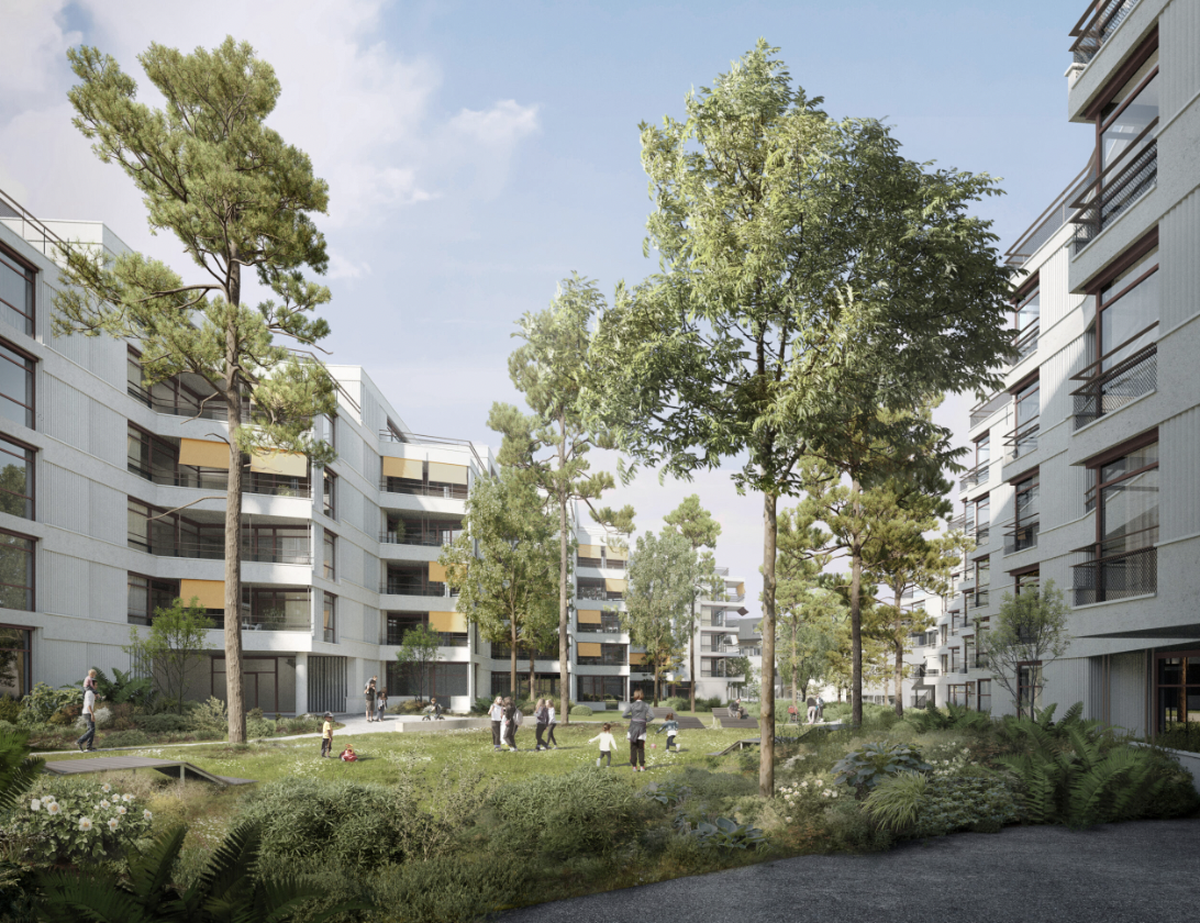 küngenmatt projekt gentrifizierung