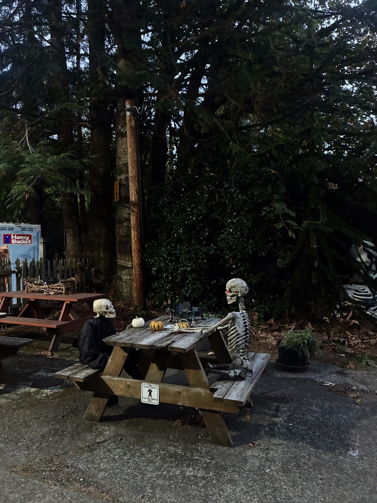 De l’Etat de Washington au Texas, découvrez 31 photos de maisons américaines décorées pour Halloween, entre squelettes géants et monstres gonflables.