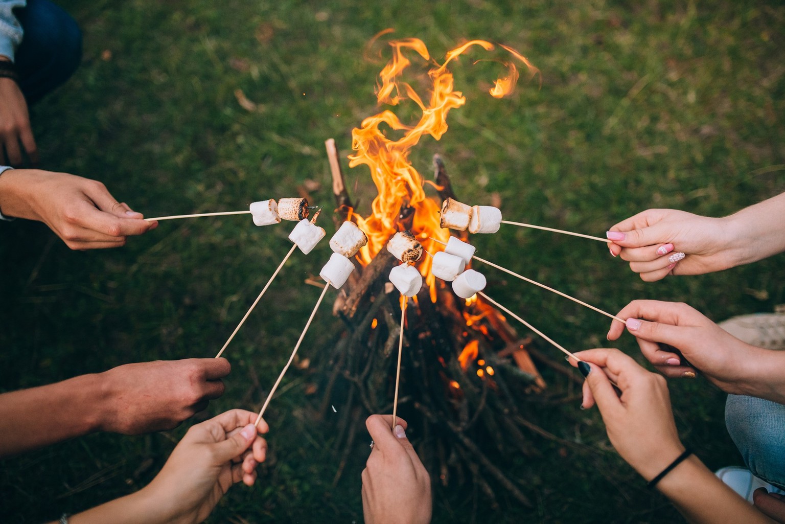 Aber bis dahin werden bitte Marshmallows gebraten!