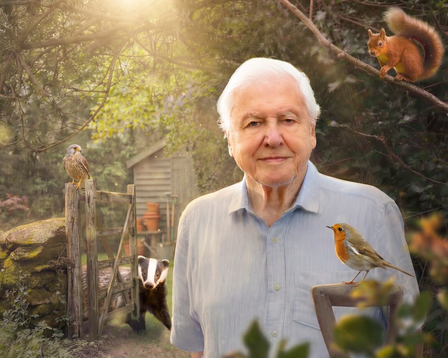 Secret Garden - Sir David Attenborough 2026 

https://www.bbc.co.uk/programmes/m002sthz