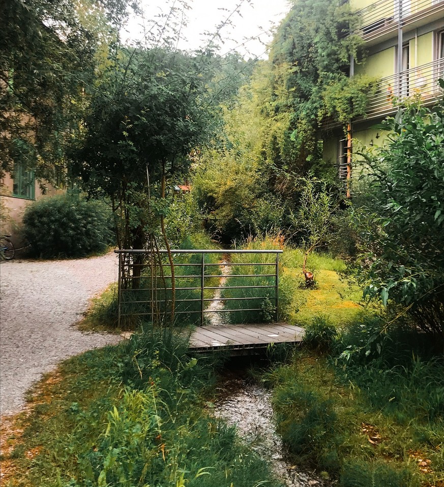 Offen verlaufende Bäche wie der Schwamendinger Dorfbach tragen zum Schutz der Bevölkerung bei: Durch breitere Bachprofile, Rückhaltebecken und überflutbare Zonen kann Wasser bei Starkregen kontrollier ...