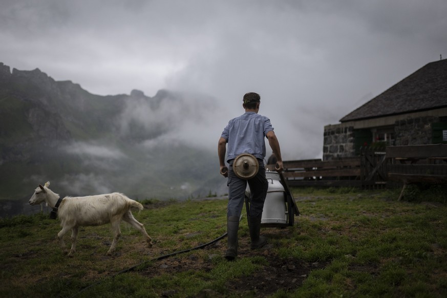 Zusenn Urban Graf faehrt frische Milch zur Kaeserei auf der Altenalp, am Dienstag, 26. Juli 2022, in Schwende. Bruno Neff und seine Familie bewirtschaften die Alp seit Jahrzehnten und leben hier im So ...