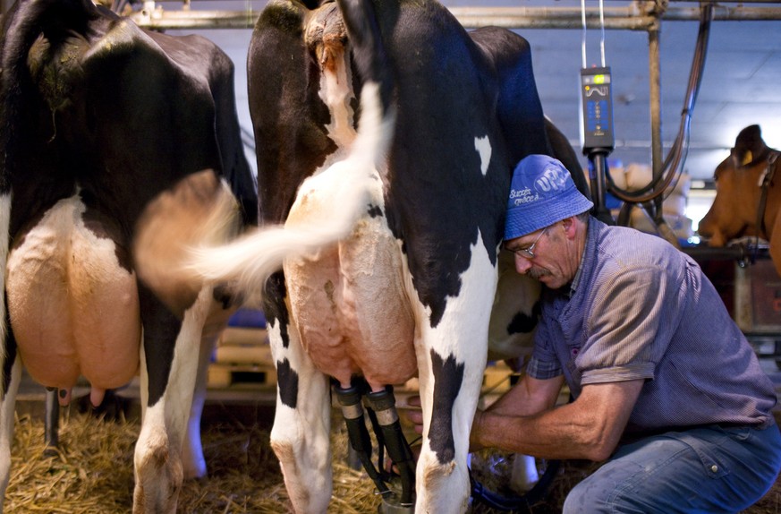 Heinz Giger puts the milking machine on his cows&#039; udders in the barnstable of his farm in Sornetan in the canton of Berne, Switzerland, pictured on August 2, 2008. (KEYSTONE/ Martin Ruetschi).

H ...