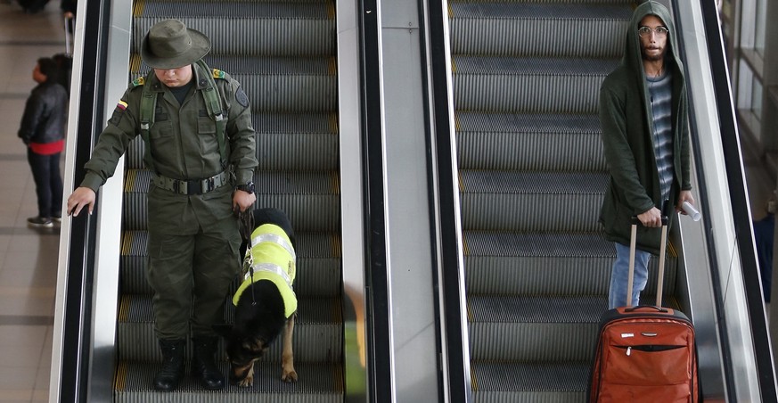 Officer Jose Rojas and drug dog Sombra patrol at the El Dorado airport in Bogota, Colombia, Thursday, July 26, 2018. After her six hour shift is over, Sombra is transported in a van with tinted window ...