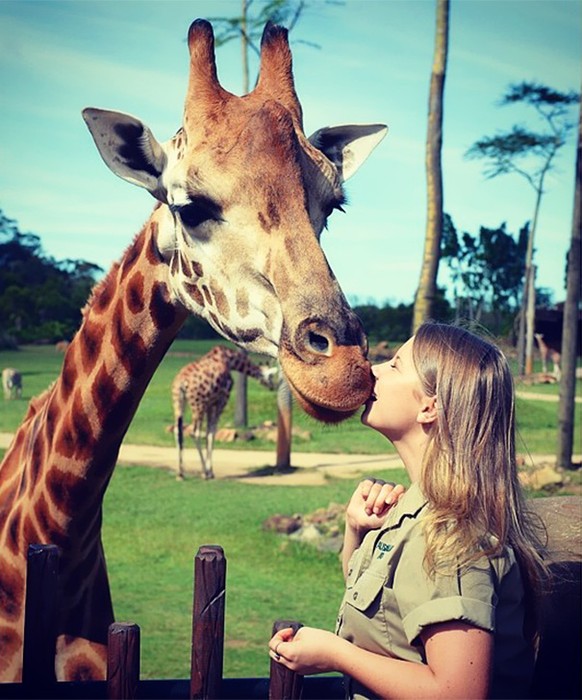 ... Giraffe an der Backe: Bindi liebt Tiere.