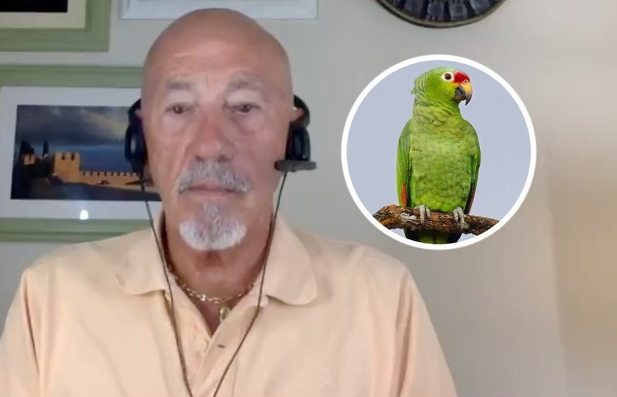 L'animal de compagnie de l'ex-arbitre José Luis Pajares Paz est devenu, bien malgré lui, la star d'une émission TV.