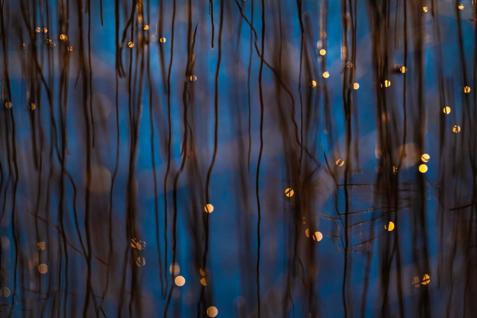 Kategoriesieger Atelier Natur / Lichtfragmente