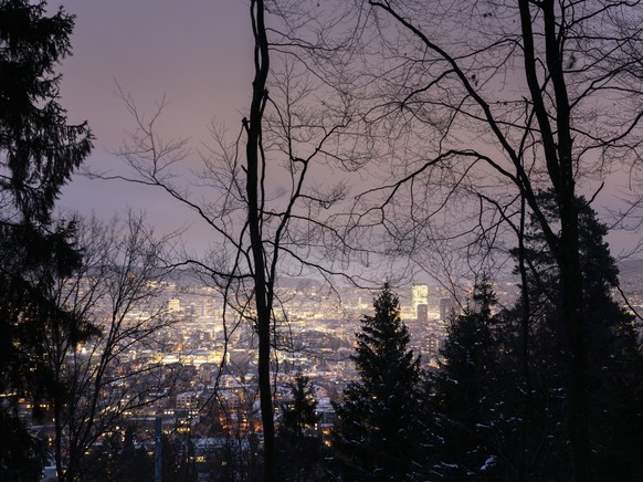 Die Lichter der Stadt Zuerich leuchten in der Nacht durch die Baeume des Waldes am Fuss des Uetlibergs ,fotografiert am Montag, 23. Januar 2023 in Zuerich. (KEYSTONE/Gaetan Bally)