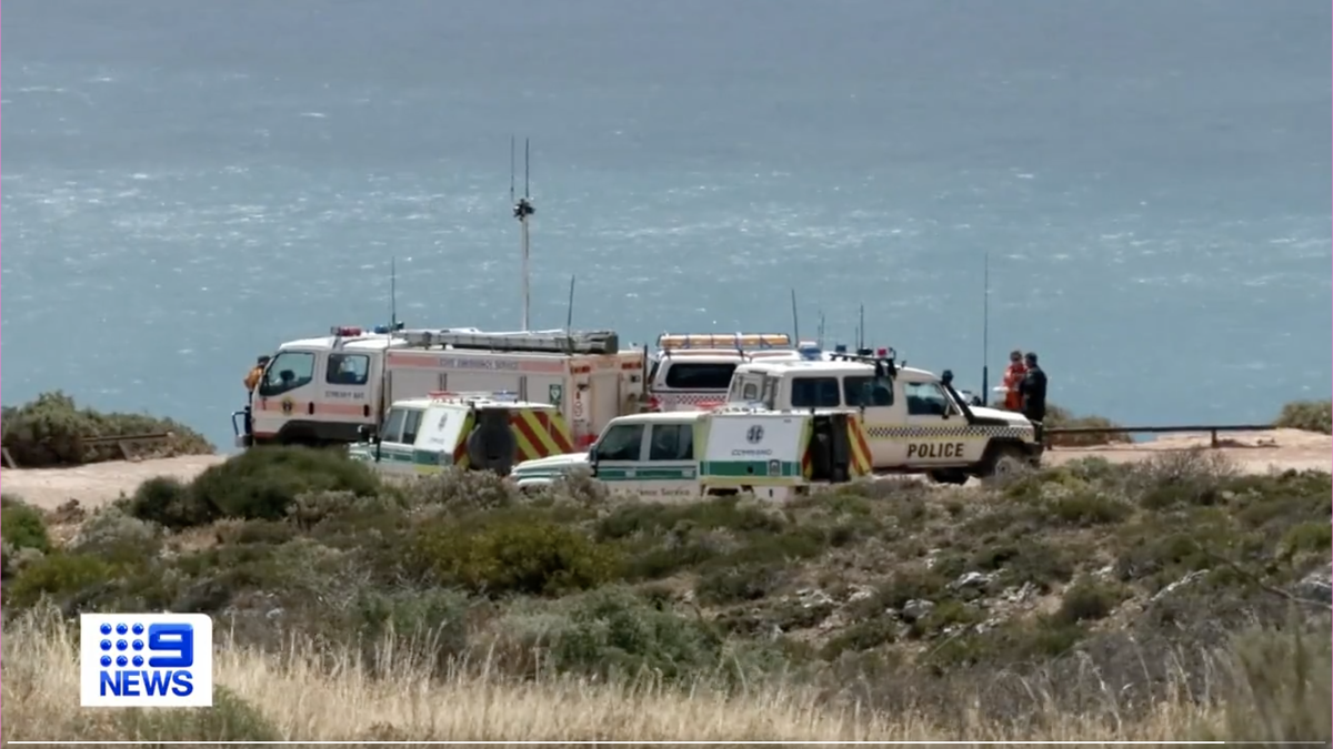 Australian police search for surfer’s body after shark attack “Tiktok-ization” of Salafism: clan boss under investigation over Hitler’s statement