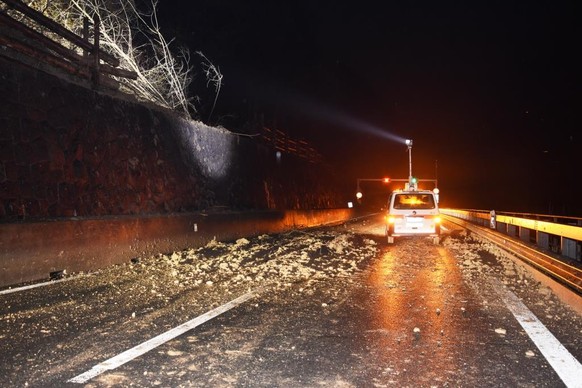 Erdrutsch Ã¼ber die Autobahn A3 in MÃ¼hlehorn in der Nacht auf den 5. Januar 2018. (Bild: Kapo Aargau)