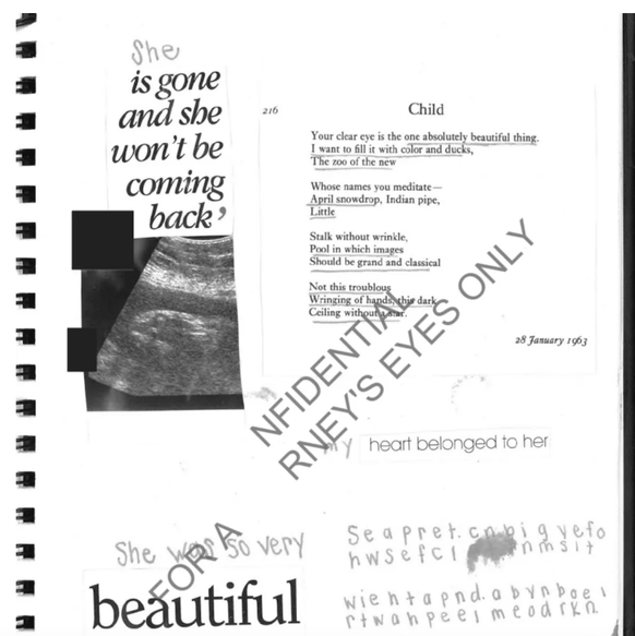 Dem Tagebucheintrag wurde auch eine Kopie des Ultraschalls hinzugefügt.