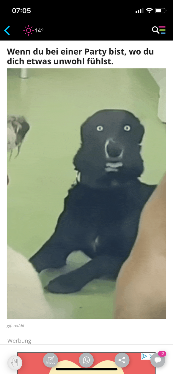 Die 24 lustigsten Fails der Woche sind tatsГ¤chlich sehr lustig рџ¤”
Ich am jeder Party