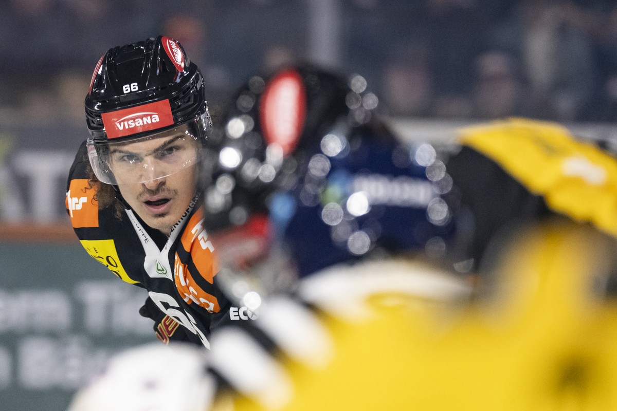 Sonny Milano (SCB) konzentriert sich bei einem Bully, im Spiel der Eishockey National League zwischen SC Bern, SCB, und HC Ajoie, HCA, vom Freitag, 25. September 2026 in der Postfinance Arena in Bern. ...