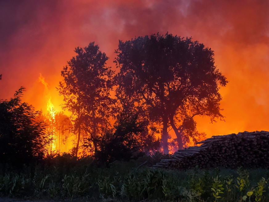epa10070591 Flames devastate trees and bushes during a forest fire near Soltszentimre, Hungary, late 13 July 2022. A person was killed by the fire that burned on some 50 hectares before it was brought ...