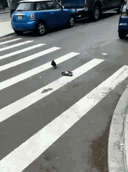 Animiertes GIF