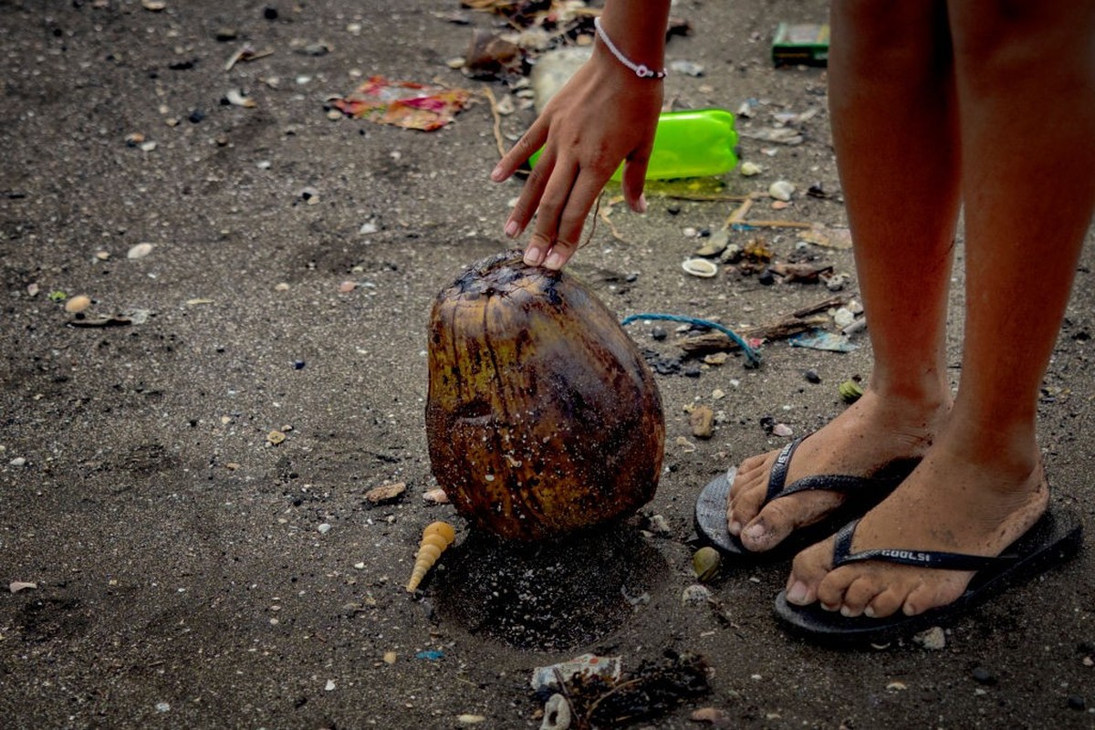 CAVITE, PHILIPPINES - JULY 30: A girl touches a coconut covered in oil from the sunken tanker MT Terra Nova along a beach on July 30, 2024 in Noveleta, Cavite province, Philippines. Industrial fuel oi ...