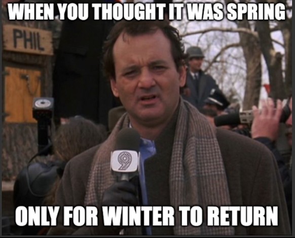 Überraschungs-Winter im Frühling. Die Memes.