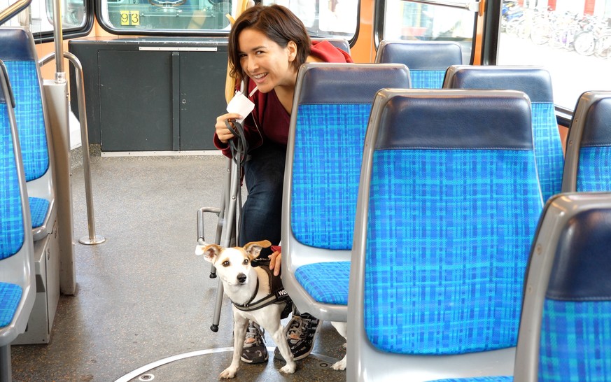 «Rush hour? Schweizer Staus sind sehr niedlich!»