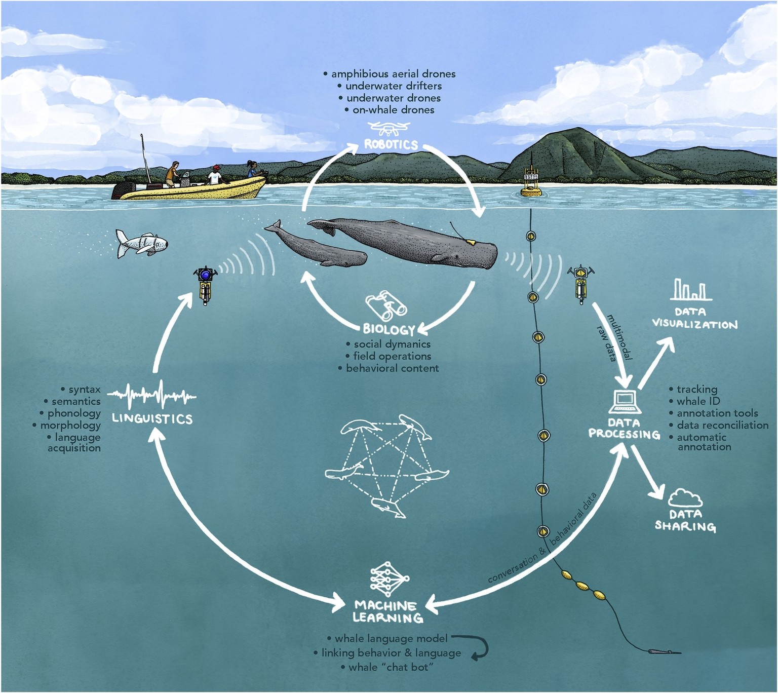 An approach to sperm whale communication that integrates biology, robotics, machine learning, and linguistics expertise, and comprise the following key steps
https://www.sciencedirect.com/science/arti ...