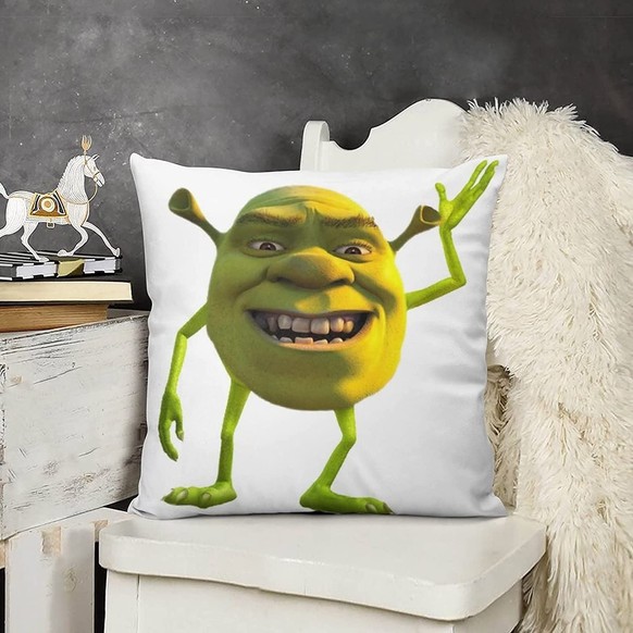 Verrückte Dinge, die du im Internet kaufen kannst: kissen shrek