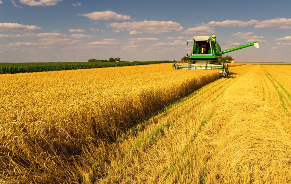 Nur in der Landwirtschaft sind Zölle noch wichtig.