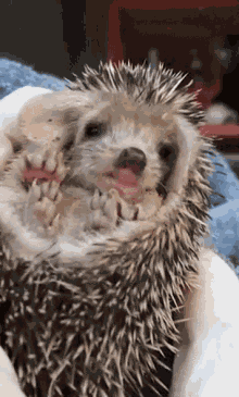 Animiertes GIF