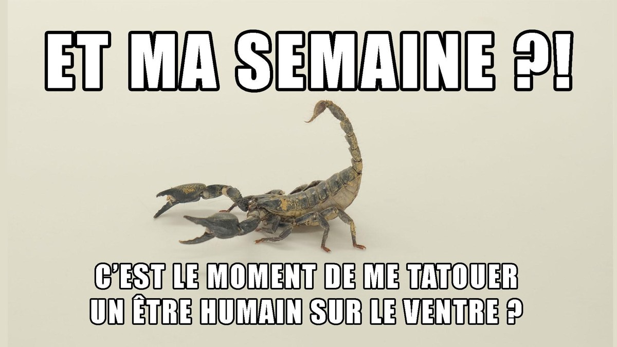 Scorpion, Horoscope, Tatouage