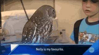 Animiertes GIF