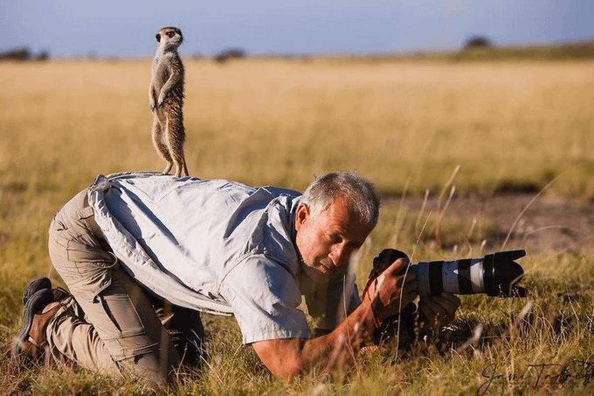 cute news tier fotograf

https://www.reddit.com/r/FunnyAnimals/comments/1h5sw40/animals_disturbing_photographers/