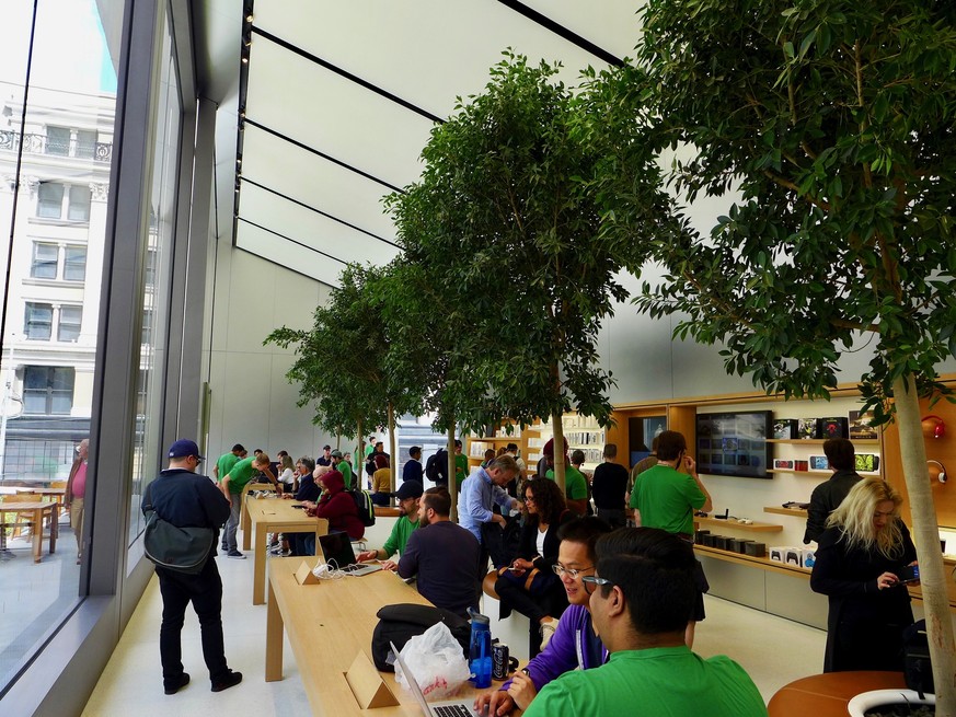 Bäume im Flagship-Store am Union Square in San Francisco. Apple will Kunden zum Verweilen animieren.