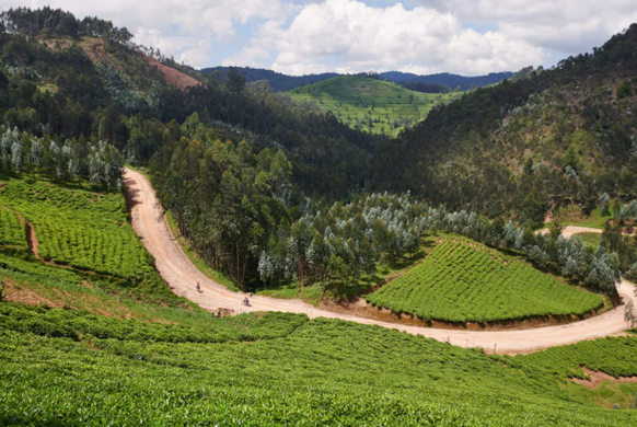 Race Around Rwanda Rauszeit