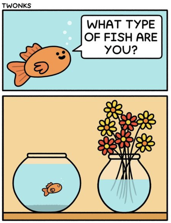 Comic Pidi