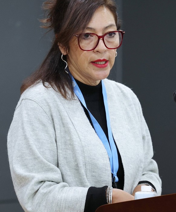 U.N. special rapporteur on N.K. human rights in Seoul U.N. special rapporteur on N.K. human rights in Seoul Elizabeth Salmon, the U.N. special rapporteur for North Korean human rights, attends a press ...