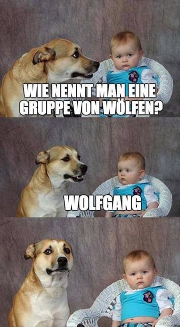 PICDUMP 426 – grüner wird&#039;s nicht, hopp! 🐸\n😏