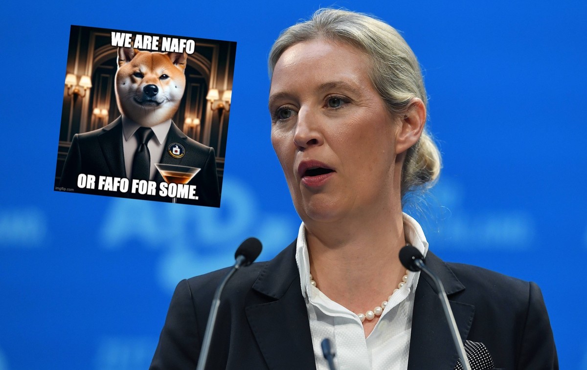 NAFO AfD Teaserbild