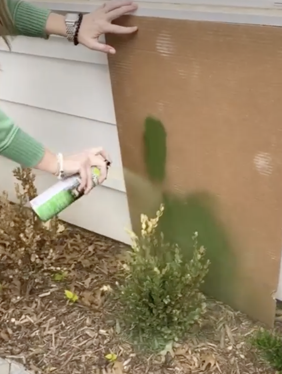 Planzen grün sprayen