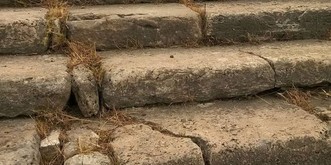 12
  Katzen, die besser Verstecken spielen als du