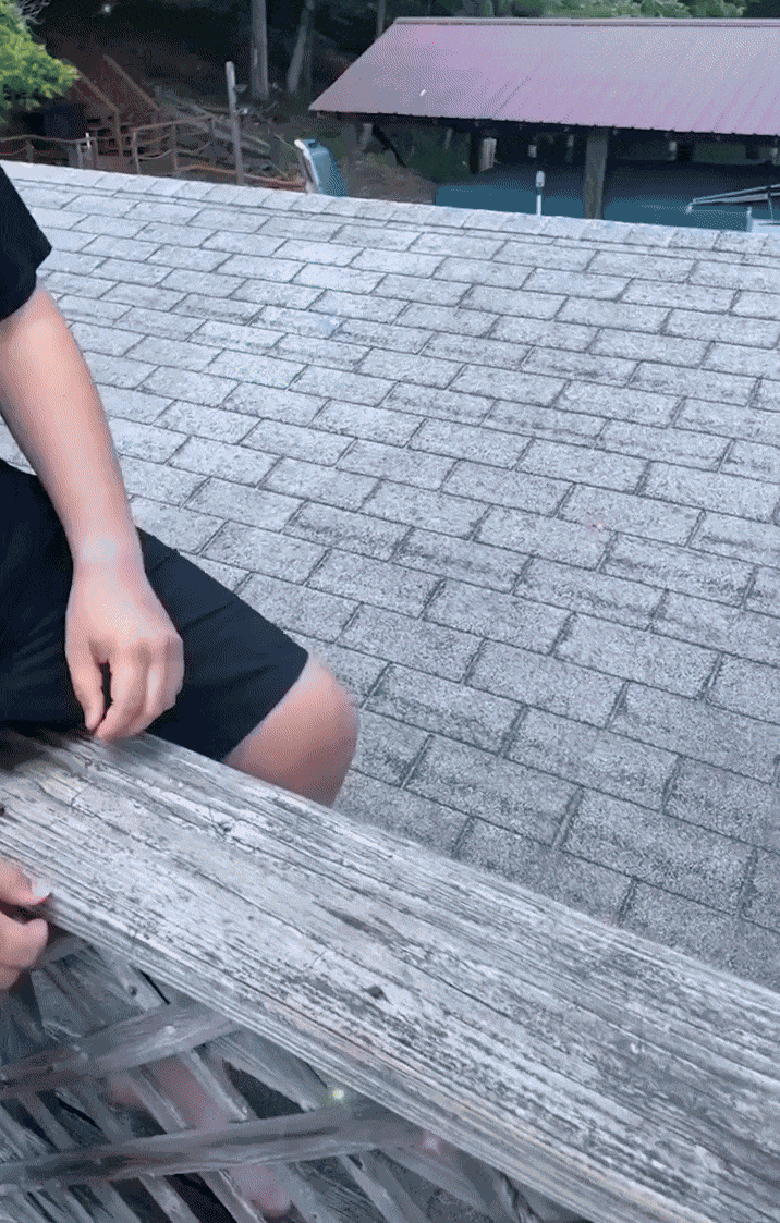 Animiertes GIF